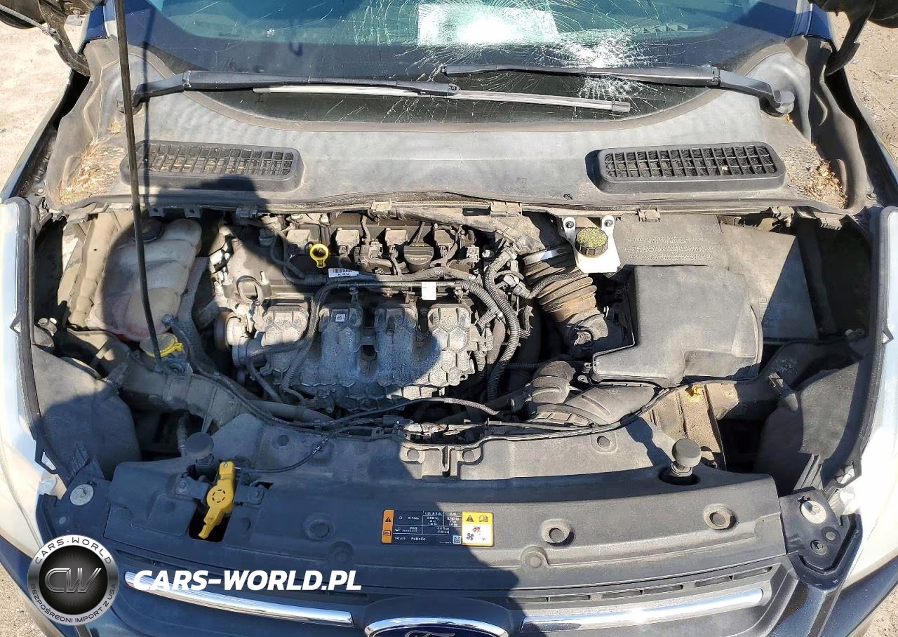 2014 Ford Escape Se VIN:1FMCU9G94EUD71121 - 12