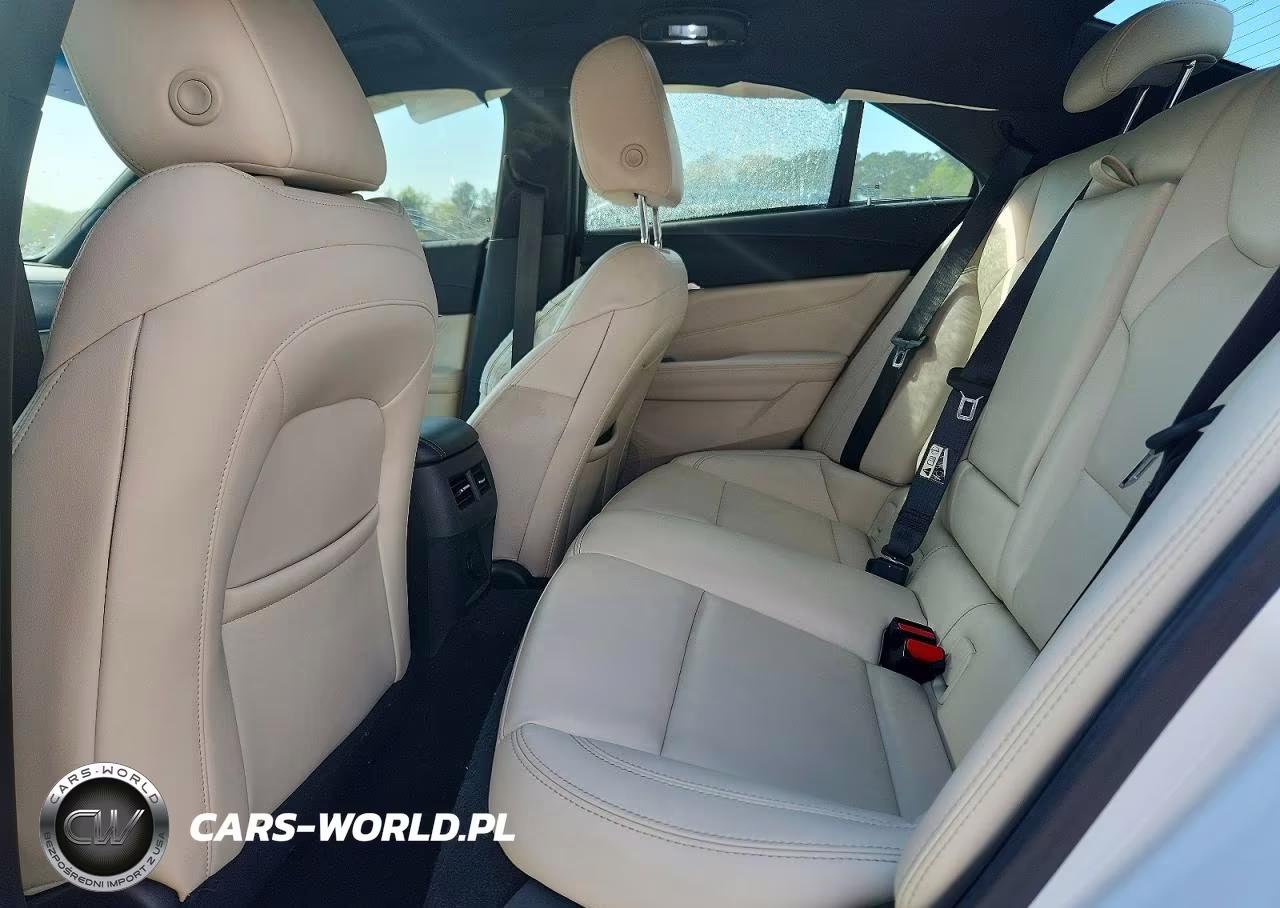 2020 Cadillac Ct4 Luxury VIN:1G6DA5RK1L0151033 - 10