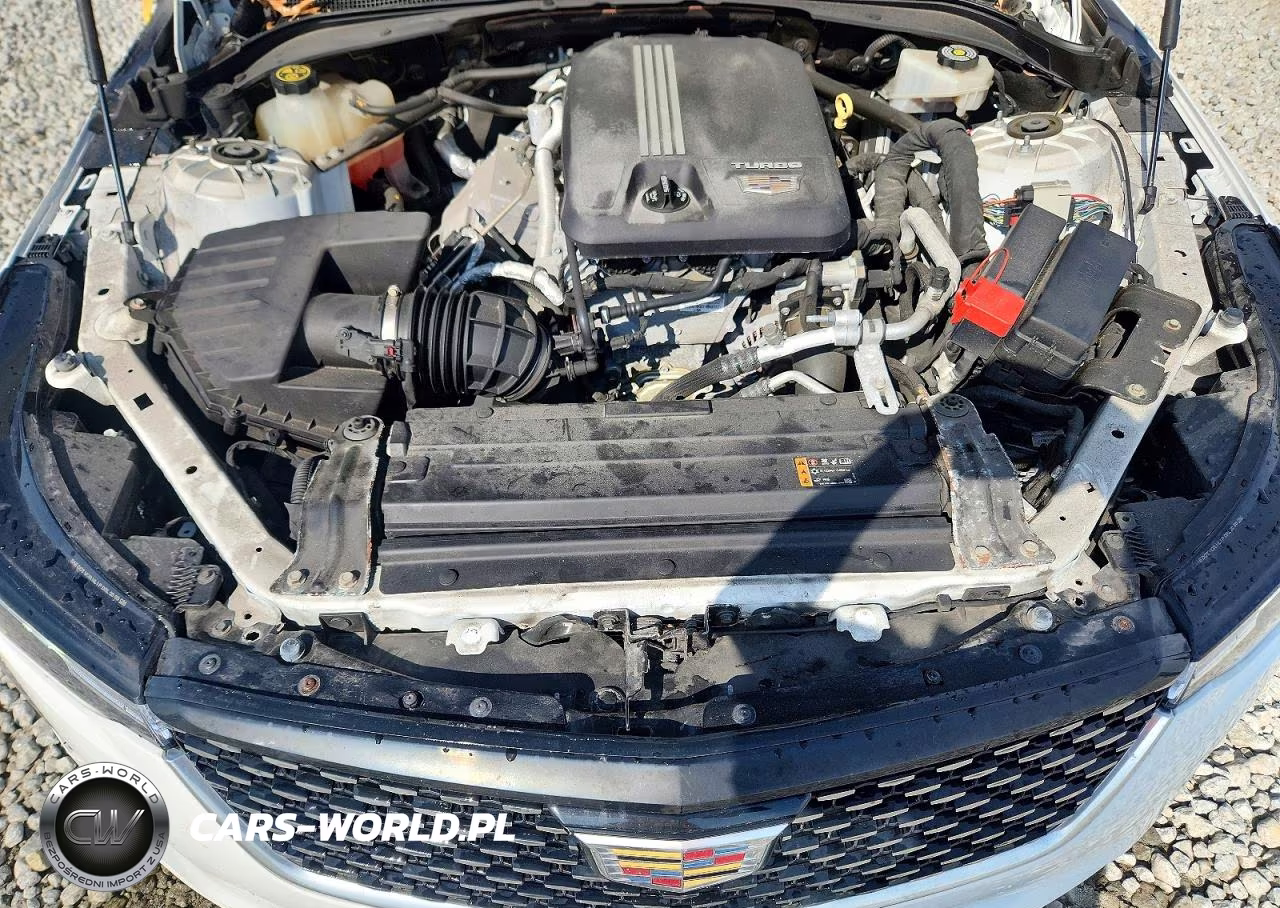 2020 Cadillac Ct4 Luxury VIN:1G6DA5RK1L0151033 - 11