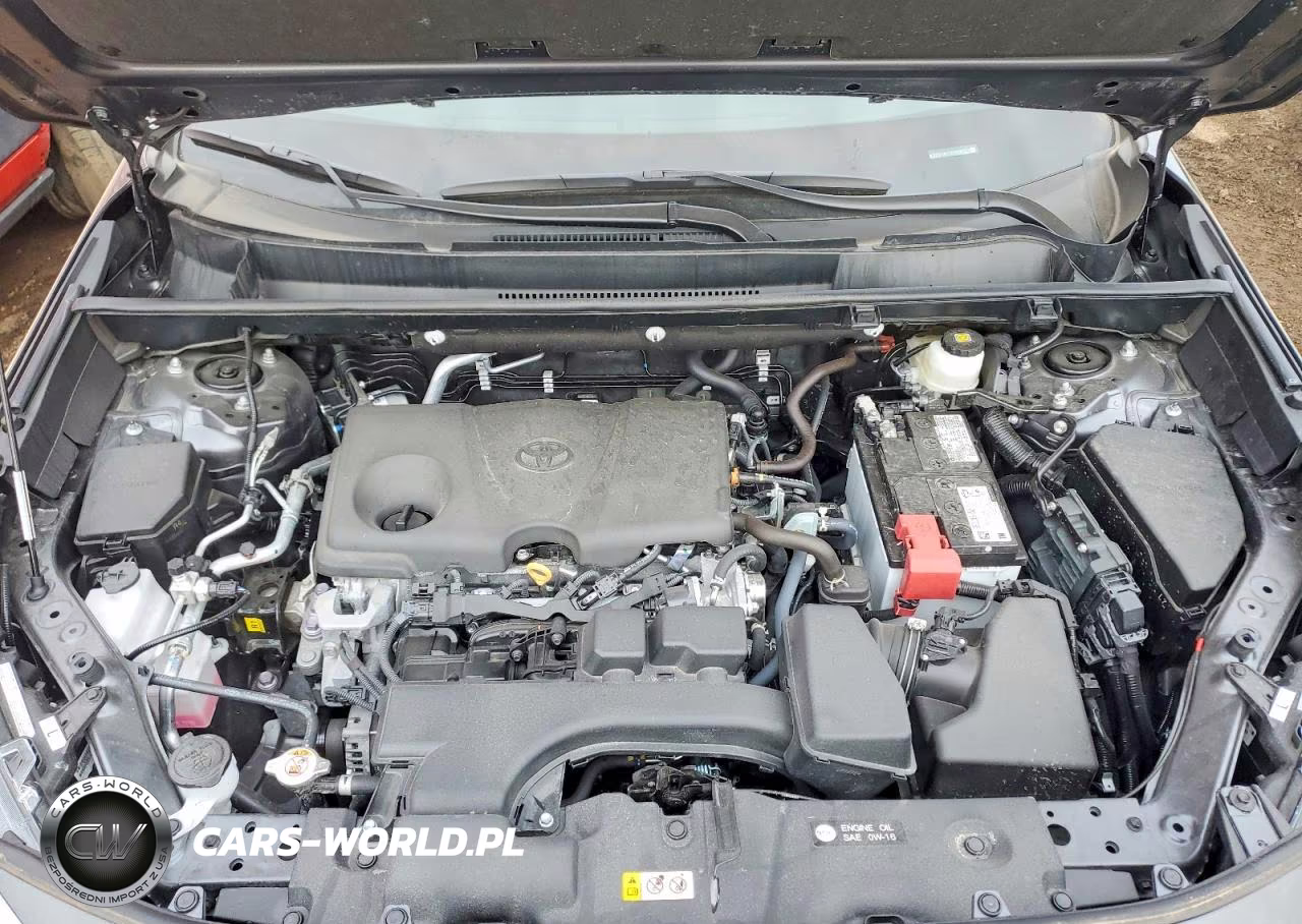 2025 Toyota Rav4 Xle VIN:2T3P1RFV2SW590591 - 11