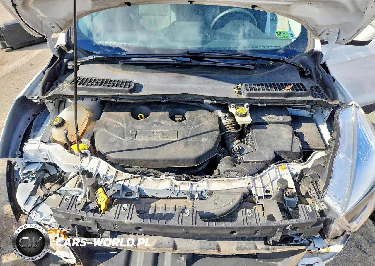 2019 Ford Escape Se VIN:1FMCU9G92KUC08768 - 12
