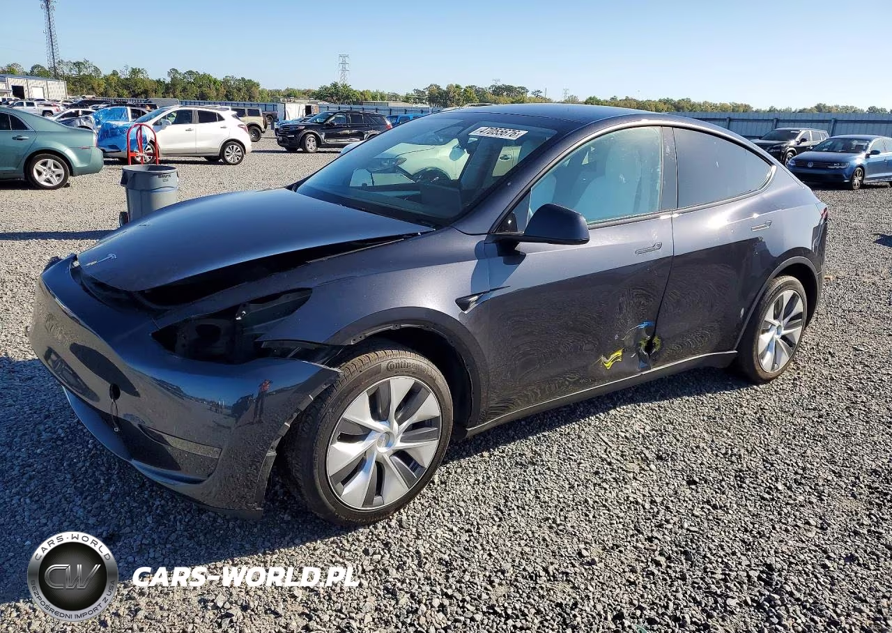 2024 Tesla Model Y