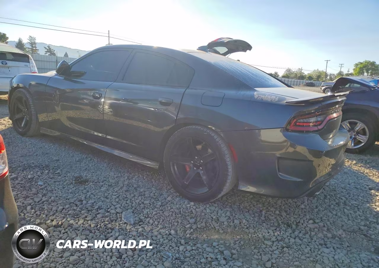 2019 Dodge Charger Srt Hellcat VIN:2C3CDXL91KH742625 - 2