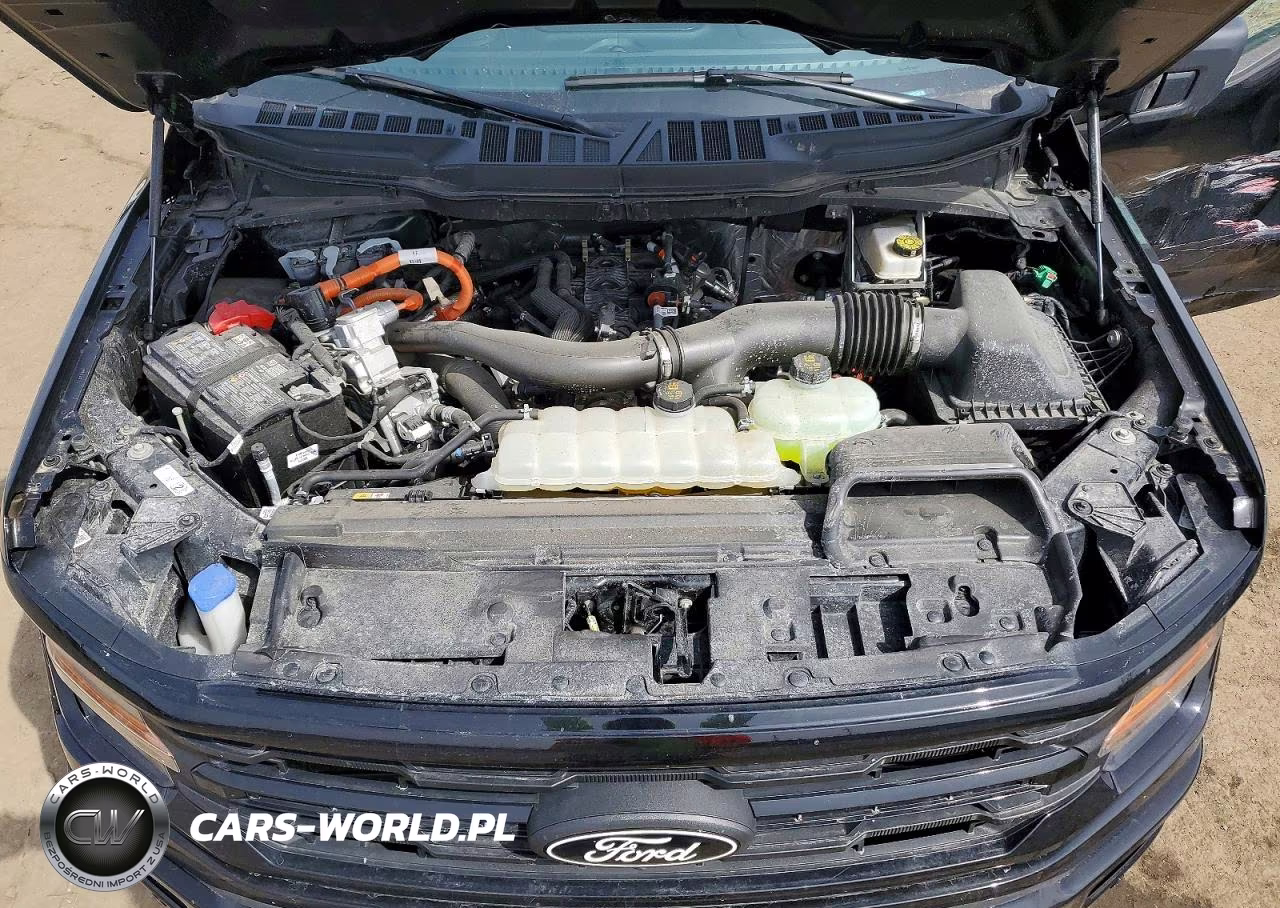 2025 Ford F150 Xlt VIN:1FTFW3LD3SFA29906 - 11