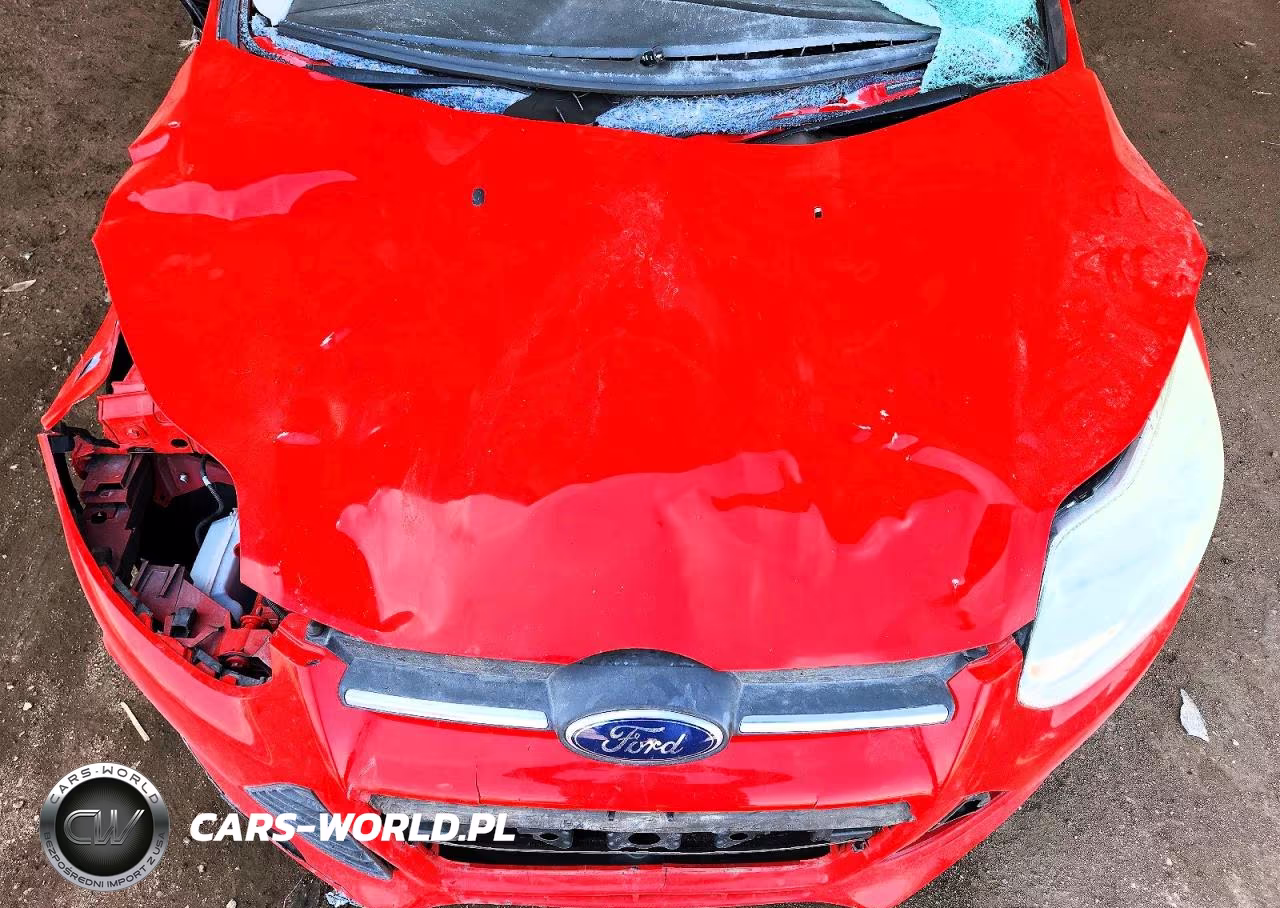 2014 Ford Focus Se VIN:1FADP3F21EL375253 - 11
