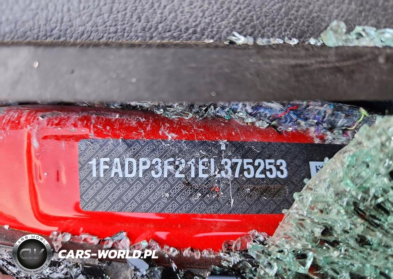 2014 Ford Focus Se VIN:1FADP3F21EL375253 - 12