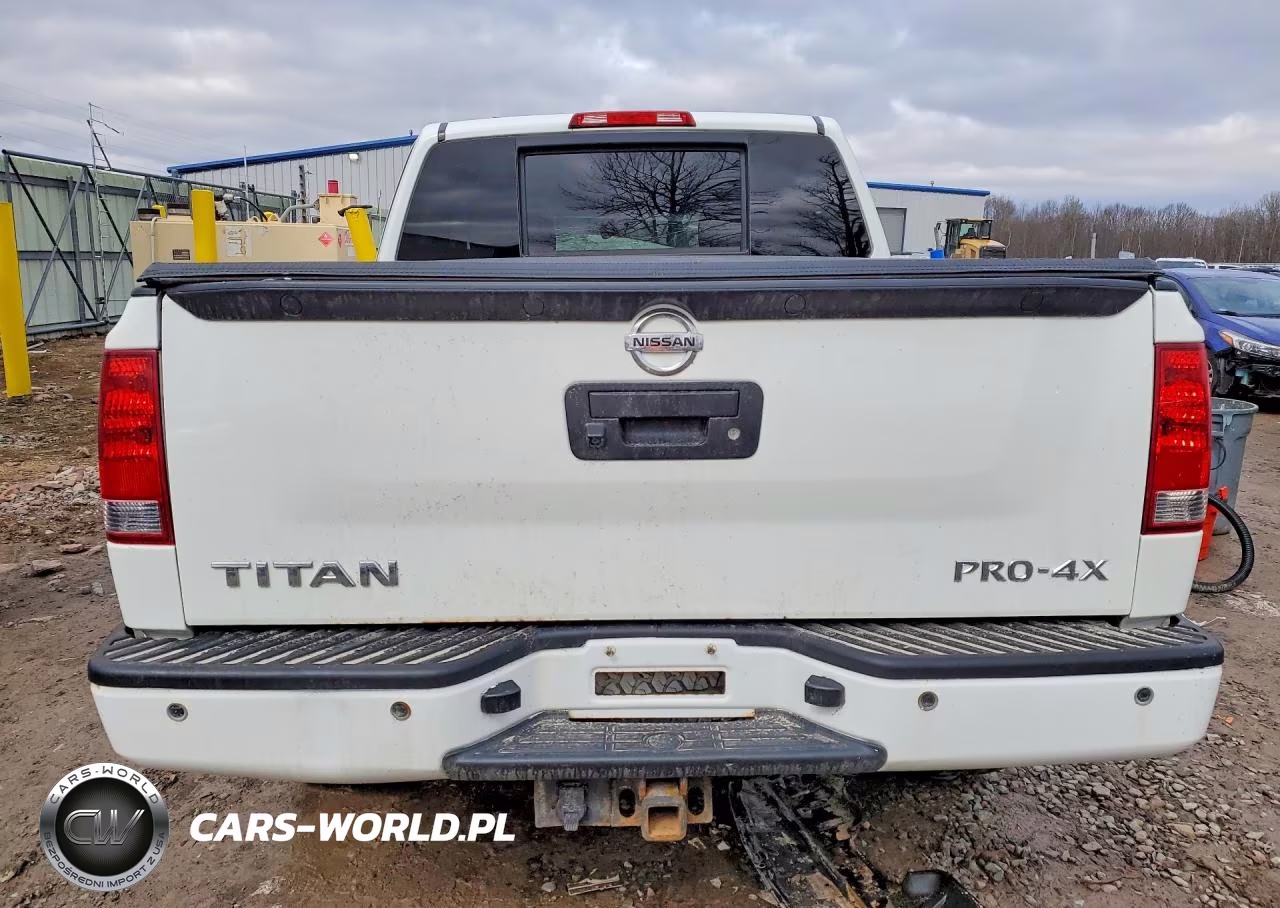 2013 Nissan Truck-Van Titan 5.6 Pro-4X Cre VIN:1N6AA0EC9DN310917 - 6