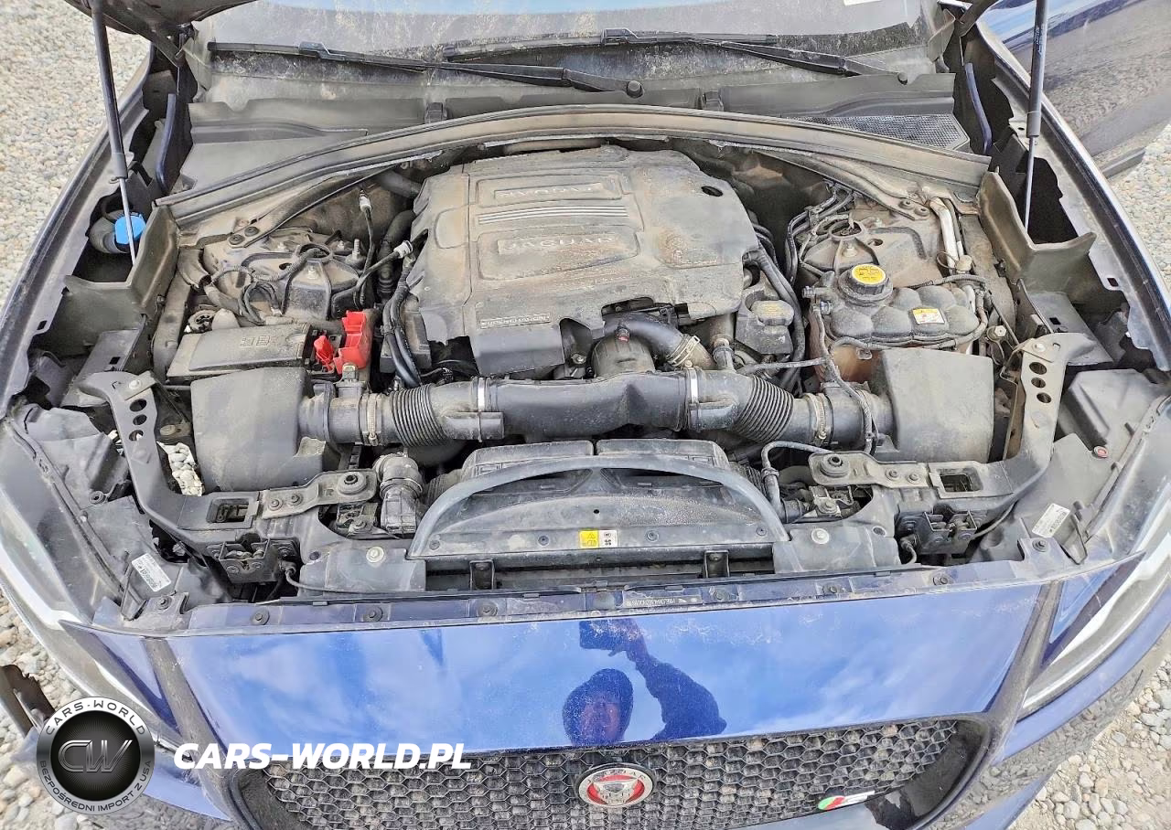 2017 Jaguar F-Pace S VIN:SADCM2BV1HA072664 - 12