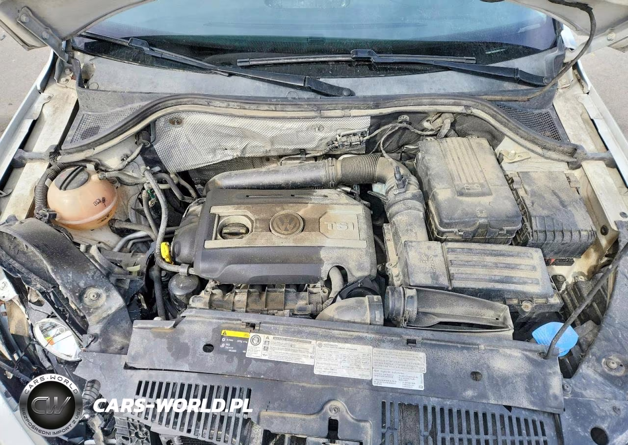 2016 Volkswagen Tiguan S VIN:WVGBV7AXXGW523933 - 11