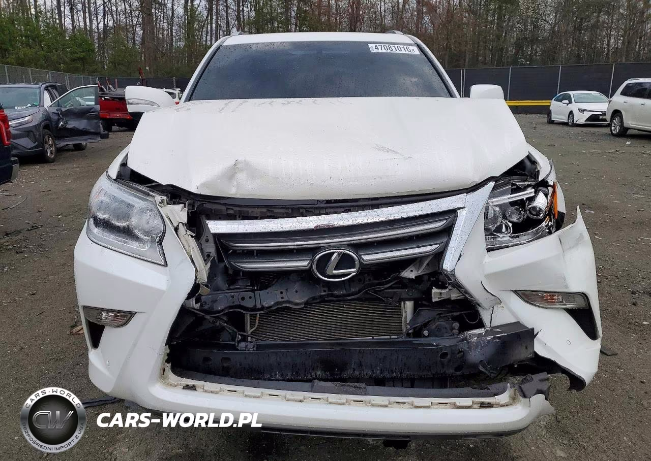 2018 Lexus Gx 460 Base VIN:JTJBM7FX0J5204227 - 12