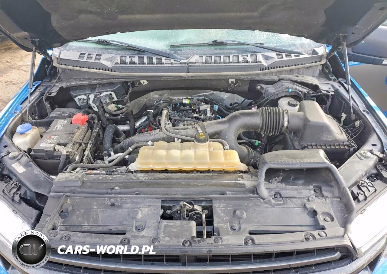 2019 Ford F150 Supercrew VIN:1FTEW1EP9KFA94959 - 11