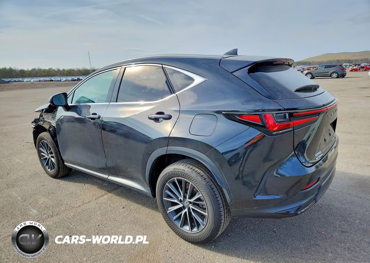 2024 Lexus Nx 350 Premium VIN:2T2GGCEZ3RC056032 - 2