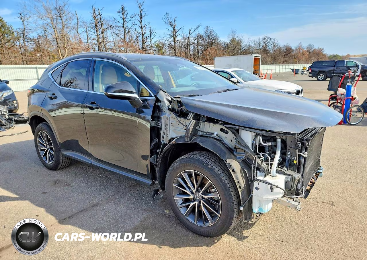 2024 Lexus Nx 350 Premium VIN:2T2GGCEZ3RC056032 - 4
