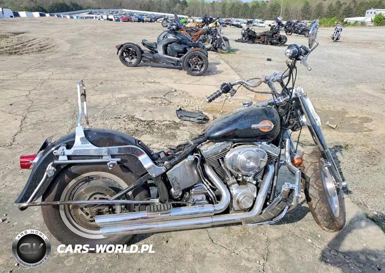 2002 Harley-Davidson Flstfi