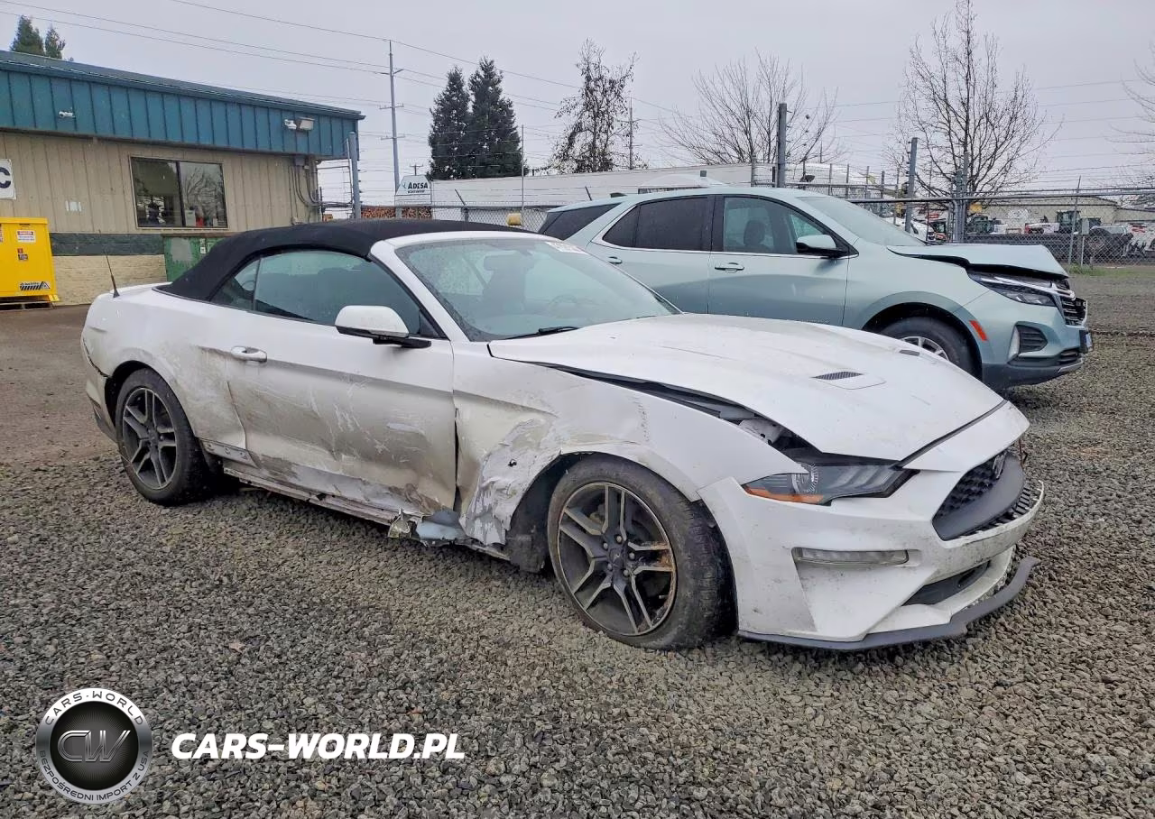 2020 Ford Mustang VIN:1FATP8UH2L5121519 - 4