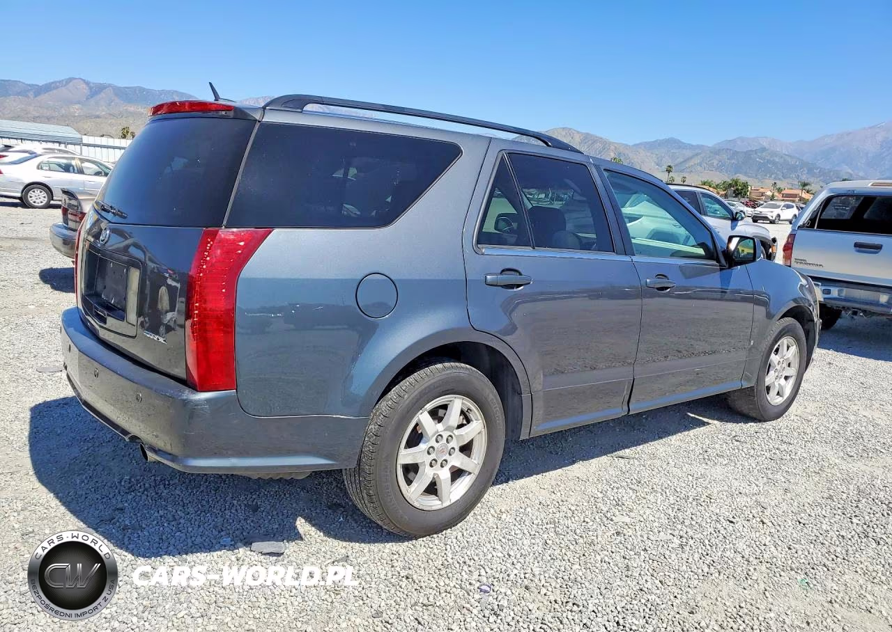 2009 Cadillac Srx VIN:1GYEE637490107935 - 3