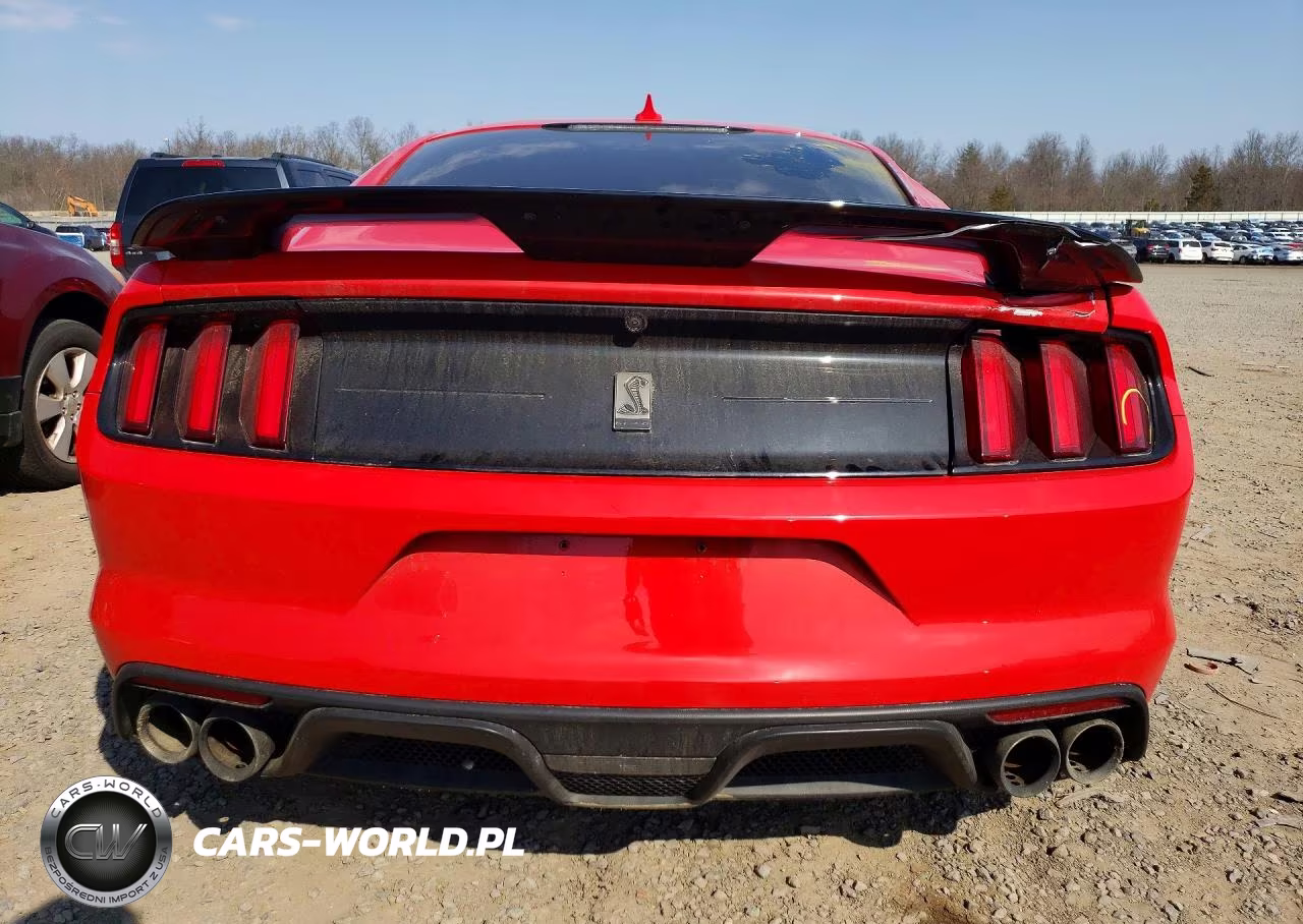 2020 Ford Mustang Shelby Gt350 VIN:1FA6P8JZ6L5551340 - 6