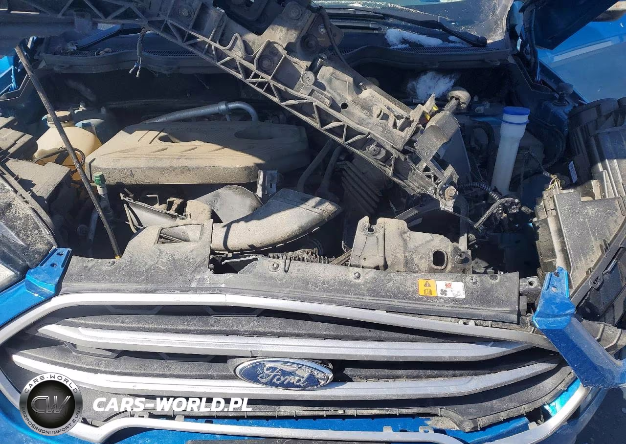 2019 Ford Ecosport Se VIN:MAJ6S3GL6KC257273 - 11