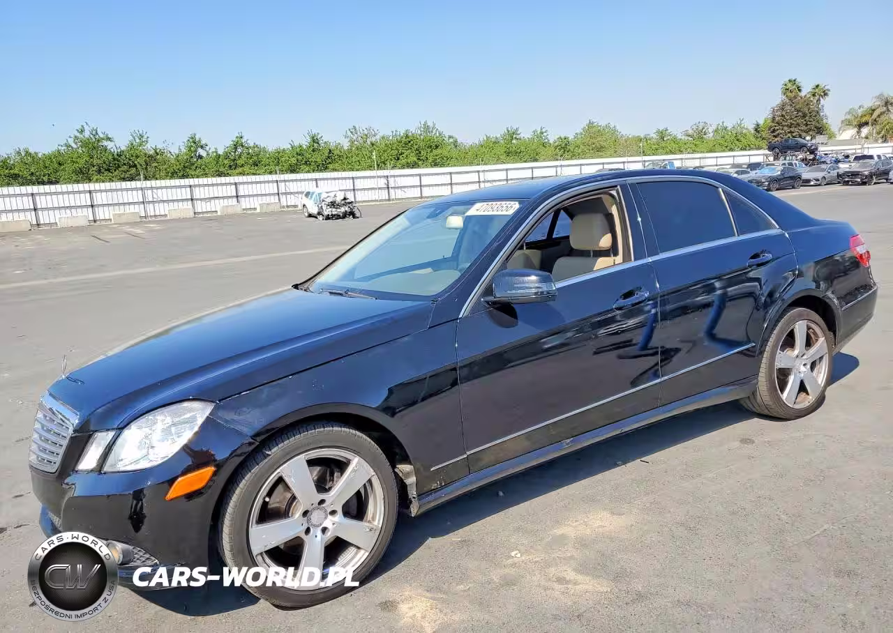 2010 MERCEDES-BENZ E 350