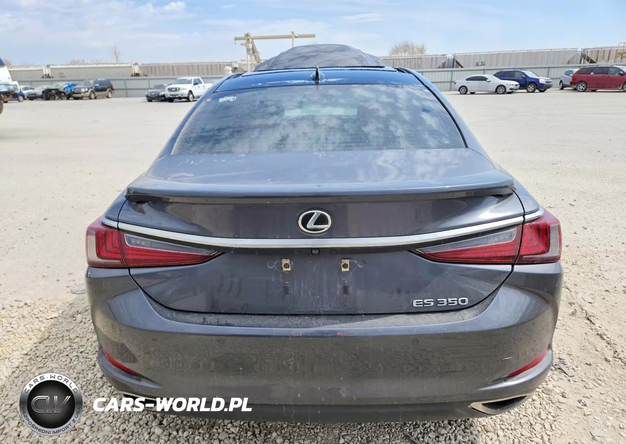 2023 Lexus Es 350 Luxury VIN:58AEZ1B17PU151402 - 6