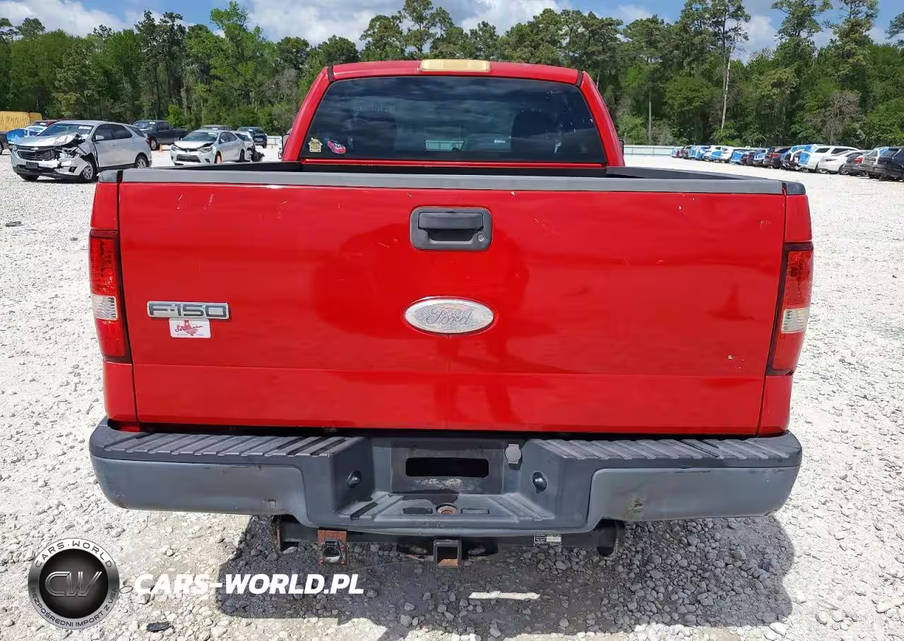 2006 Ford F150 VIN:1FTRF12226NB81317 - 10