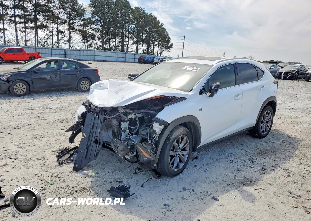2021 Lexus Nx 300 F Sport