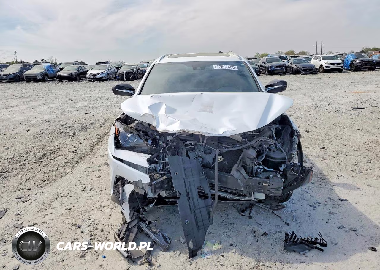 2021 Lexus Nx 300 F Sport VIN:JTJSARBZ5M5025603 - 5
