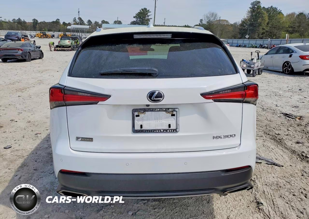 2021 Lexus Nx 300 F Sport VIN:JTJSARBZ5M5025603 - 6