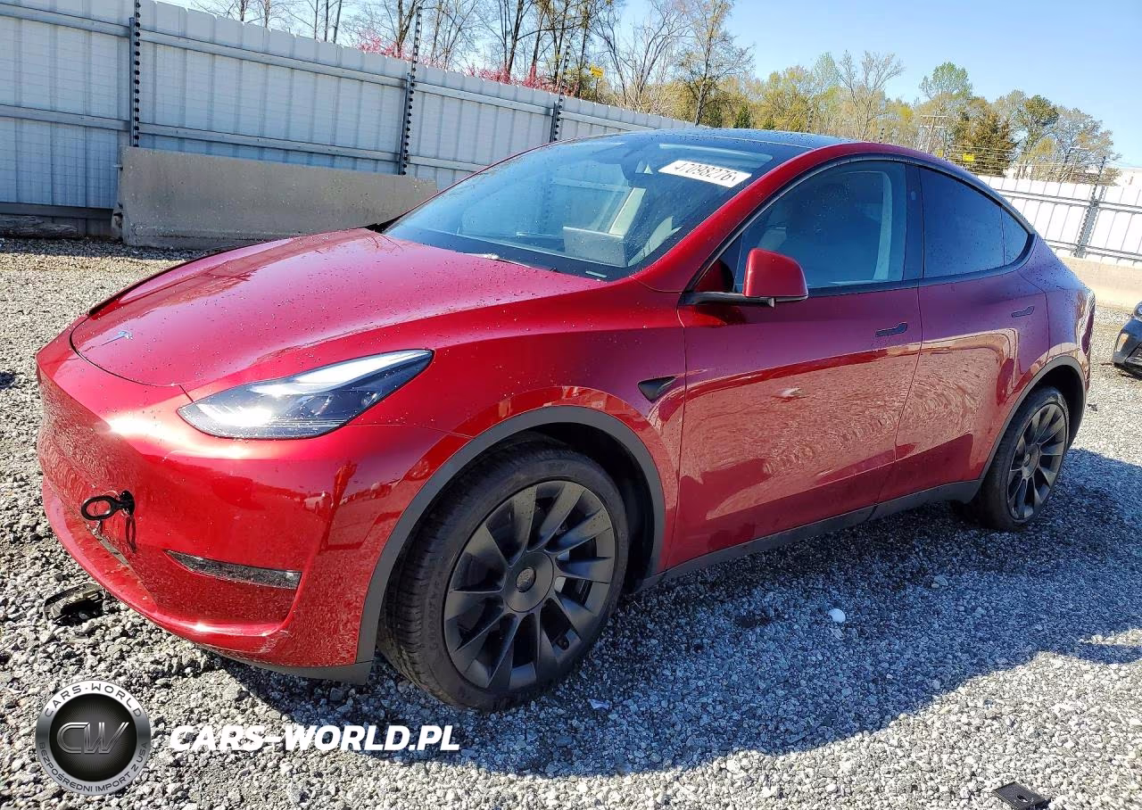 2025 Tesla Model Y