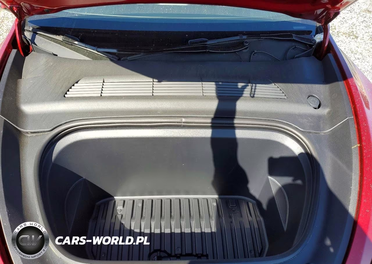 2025 Tesla Model Y VIN:7SAYGAEE2SF310246 - 11
