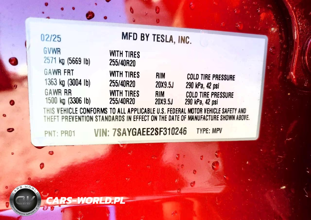 2025 Tesla Model Y VIN:7SAYGAEE2SF310246 - 12