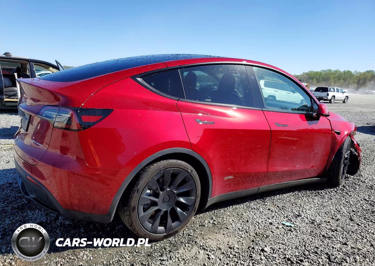 2025 Tesla Model Y VIN:7SAYGAEE2SF310246 - 3