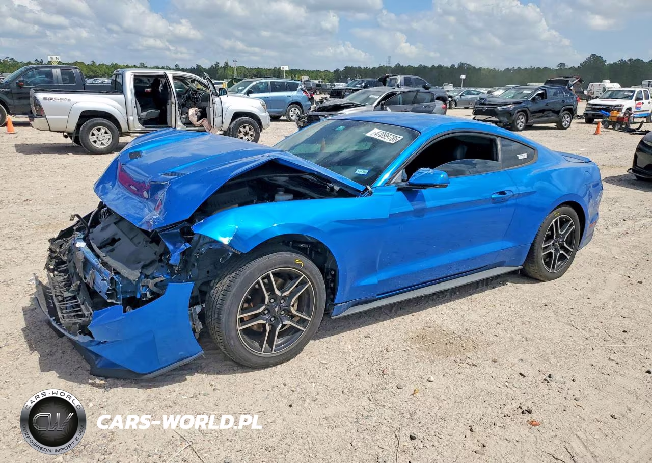 2019 Ford Mustang