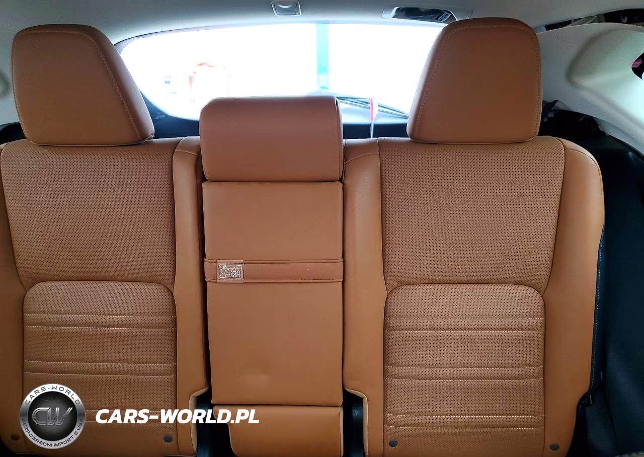 2020 Lexus Nx 300 Base VIN:JTJDARBZ7L5018417 - 10