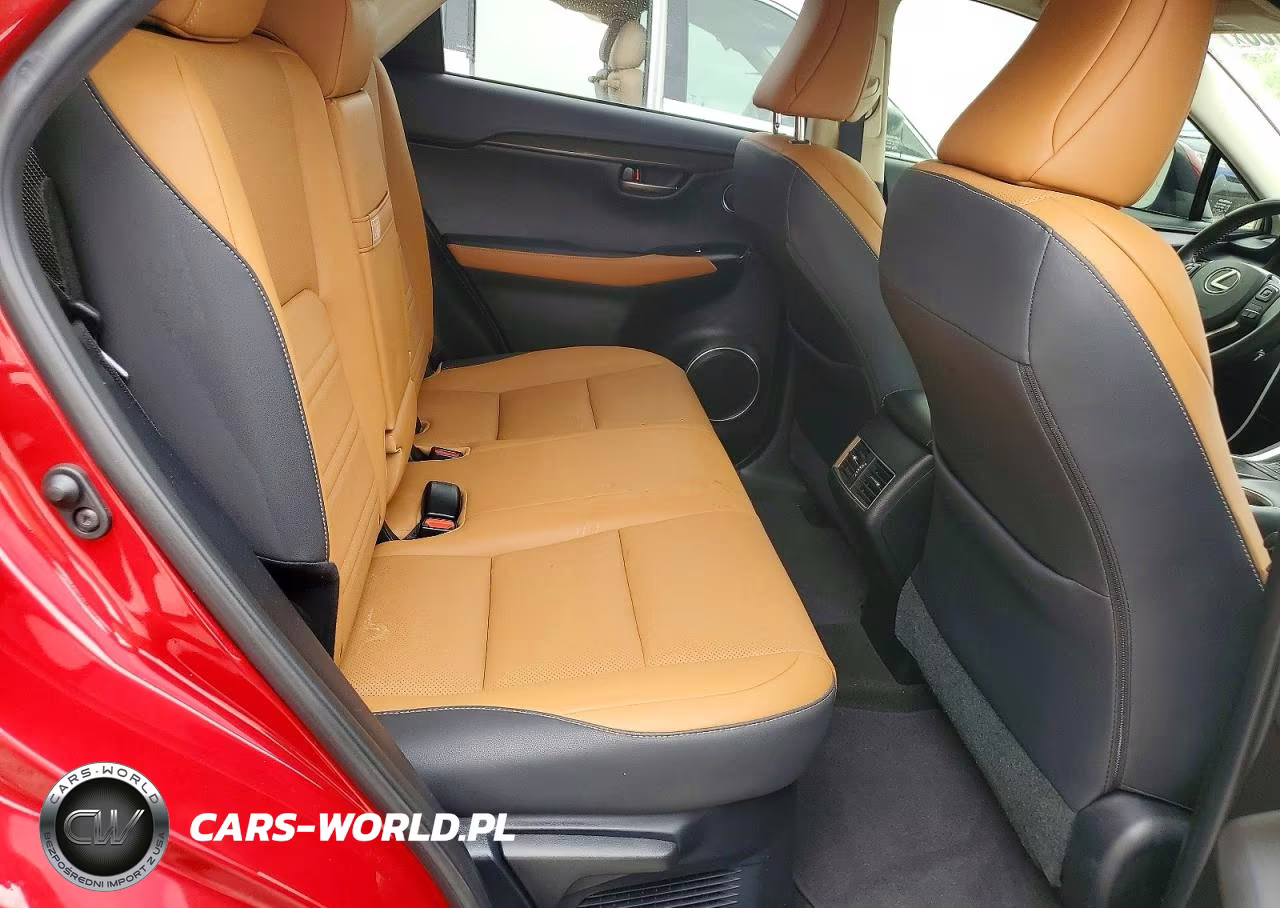 2020 Lexus Nx 300 Base VIN:JTJDARBZ7L5018417 - 11