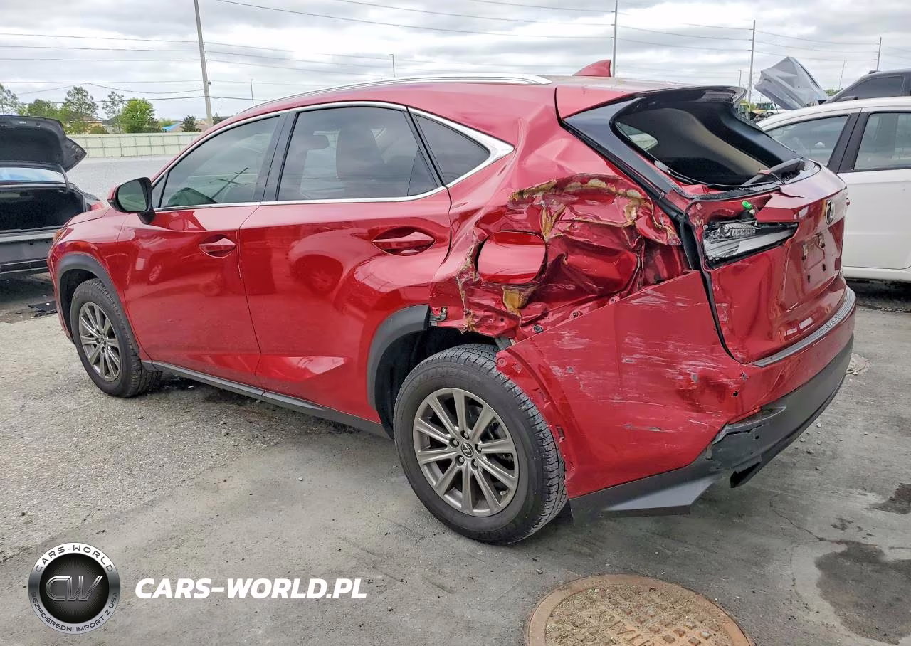 2020 Lexus Nx 300 Base VIN:JTJDARBZ7L5018417 - 2
