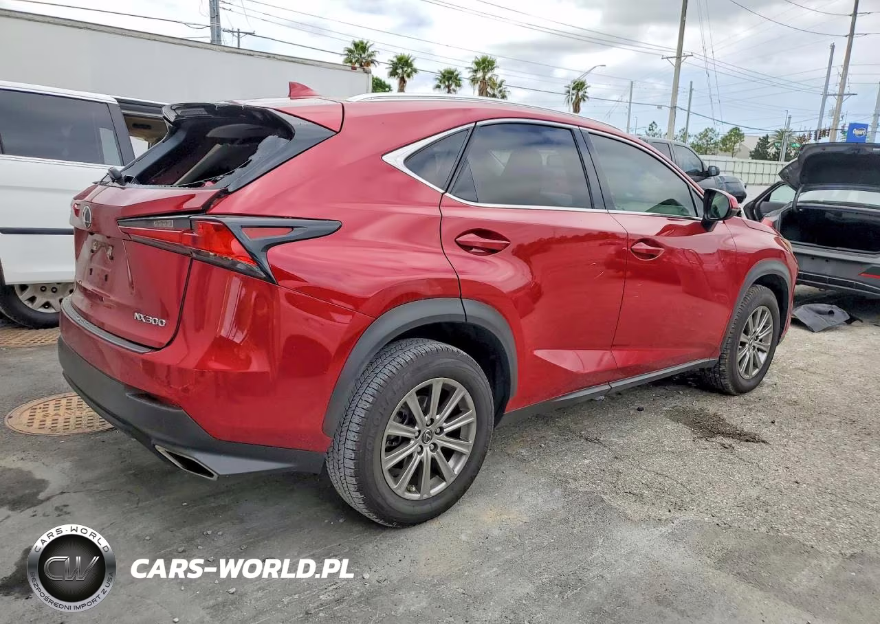 2020 Lexus Nx 300 Base VIN:JTJDARBZ7L5018417 - 3