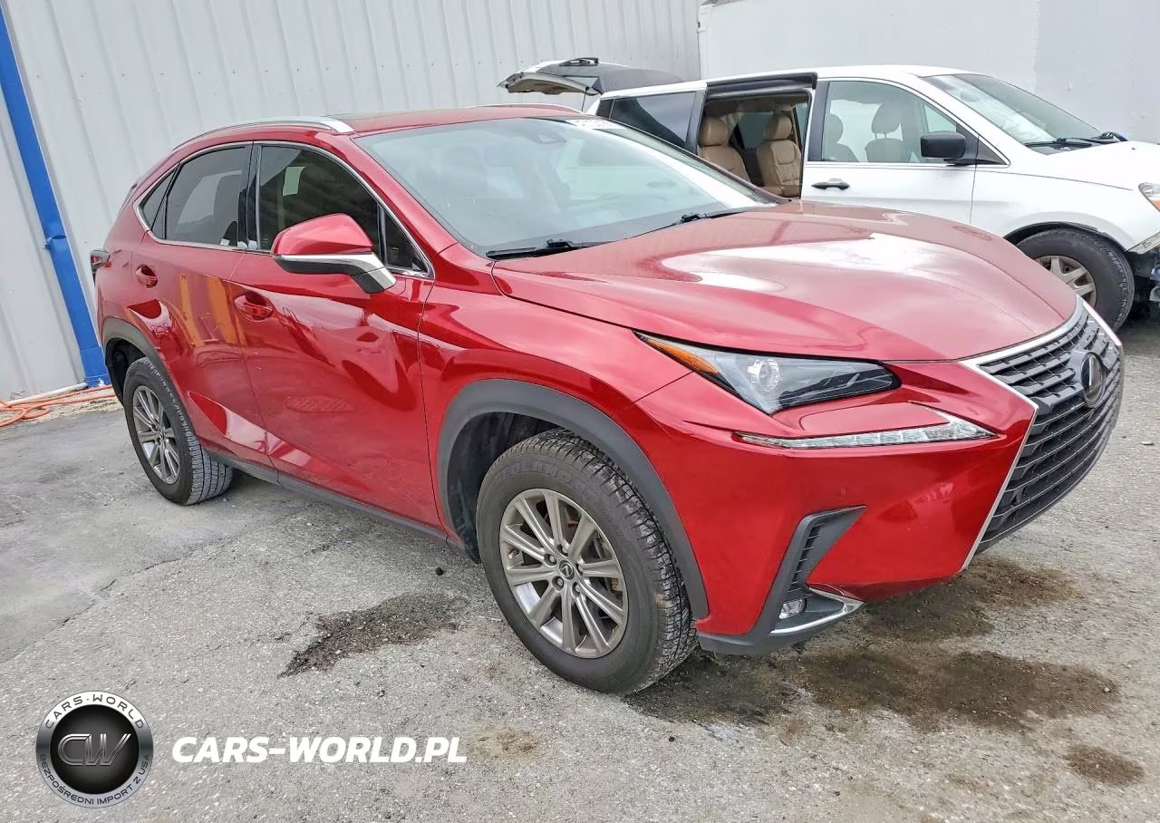 2020 Lexus Nx 300 Base VIN:JTJDARBZ7L5018417 - 4