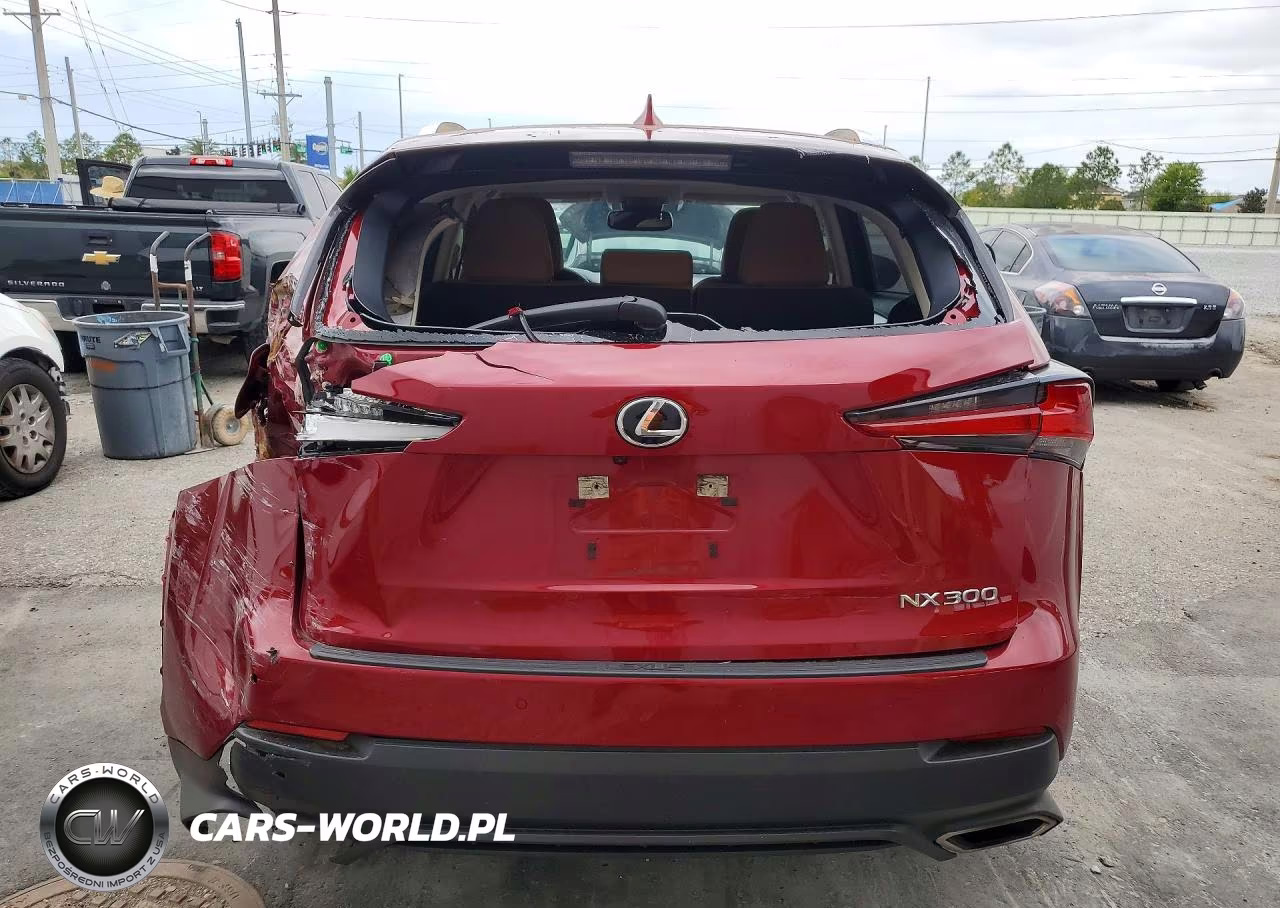 2020 Lexus Nx 300 Base VIN:JTJDARBZ7L5018417 - 6