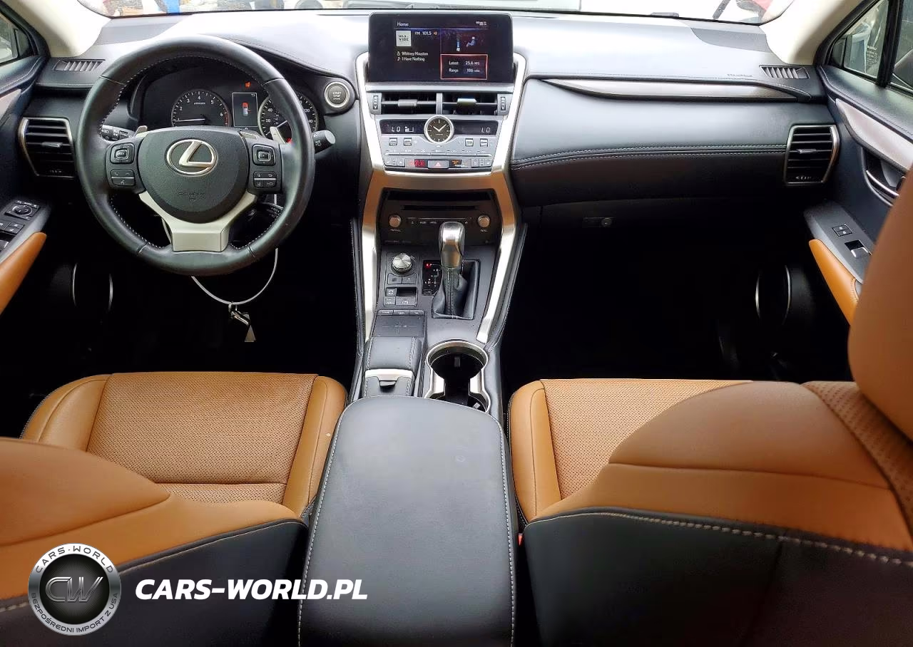 2020 Lexus Nx 300 Base VIN:JTJDARBZ7L5018417 - 8