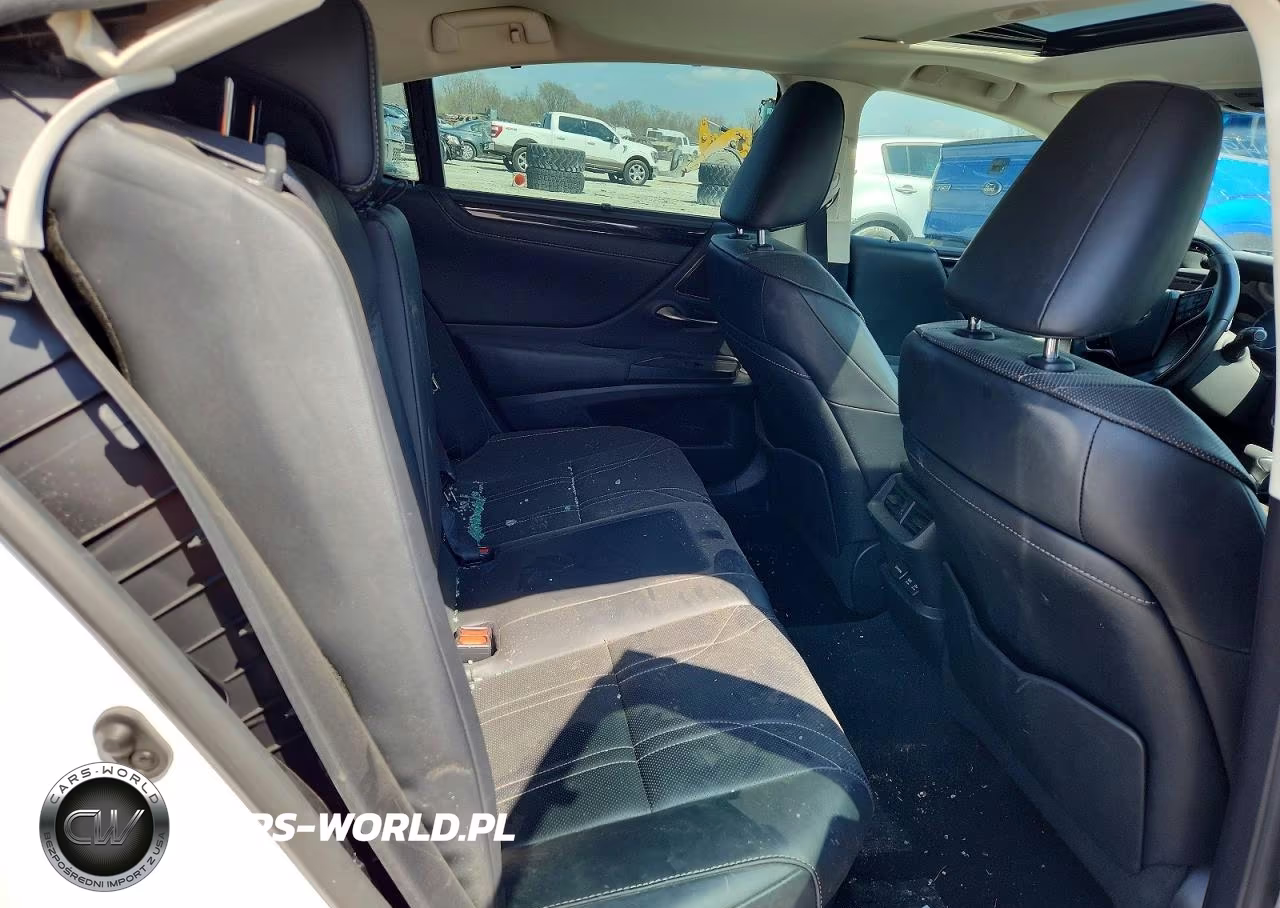 2021 Lexus Es 300H Ultra Luxury VIN:58AFA1C15MU007238 - 10