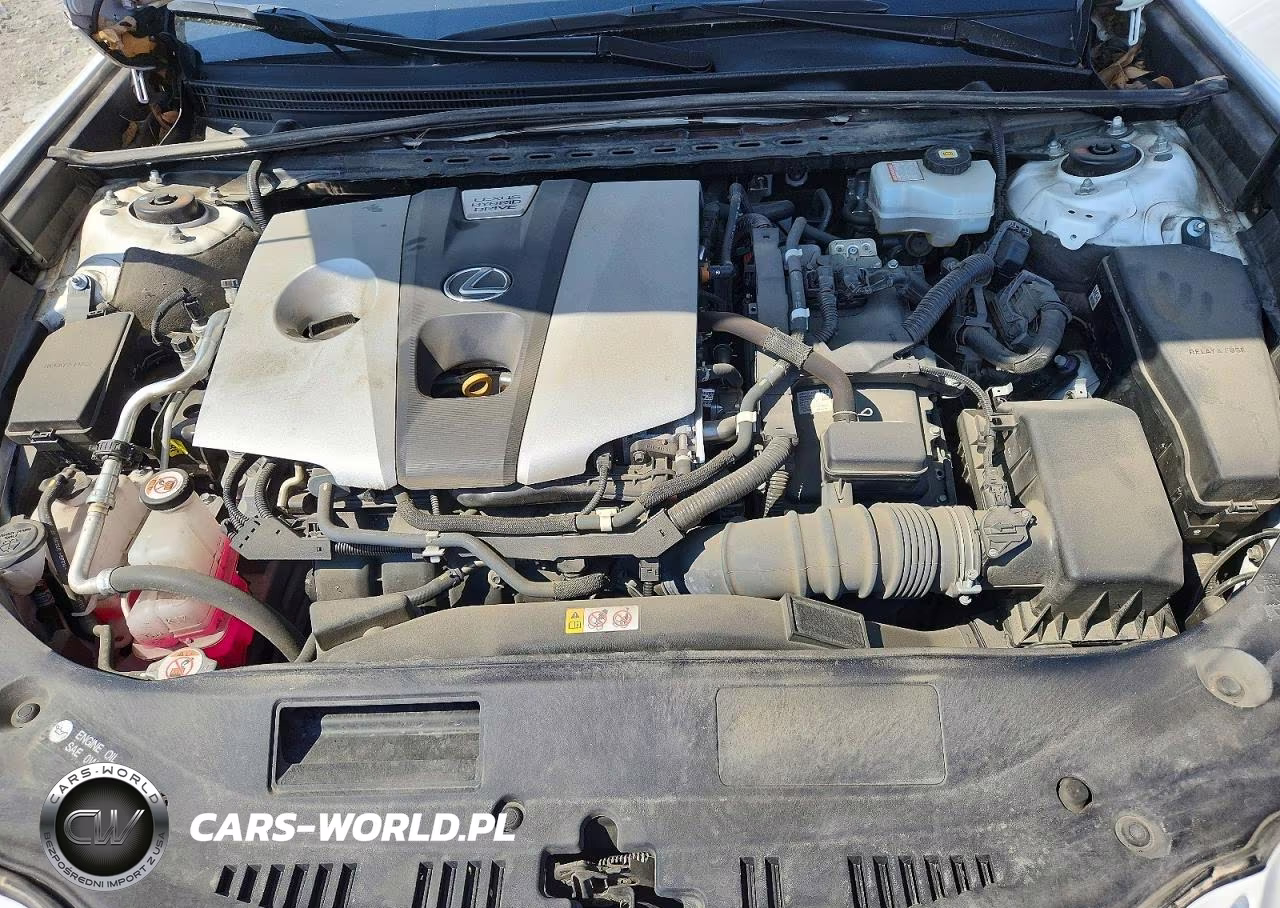 2021 Lexus Es 300H Ultra Luxury VIN:58AFA1C15MU007238 - 11