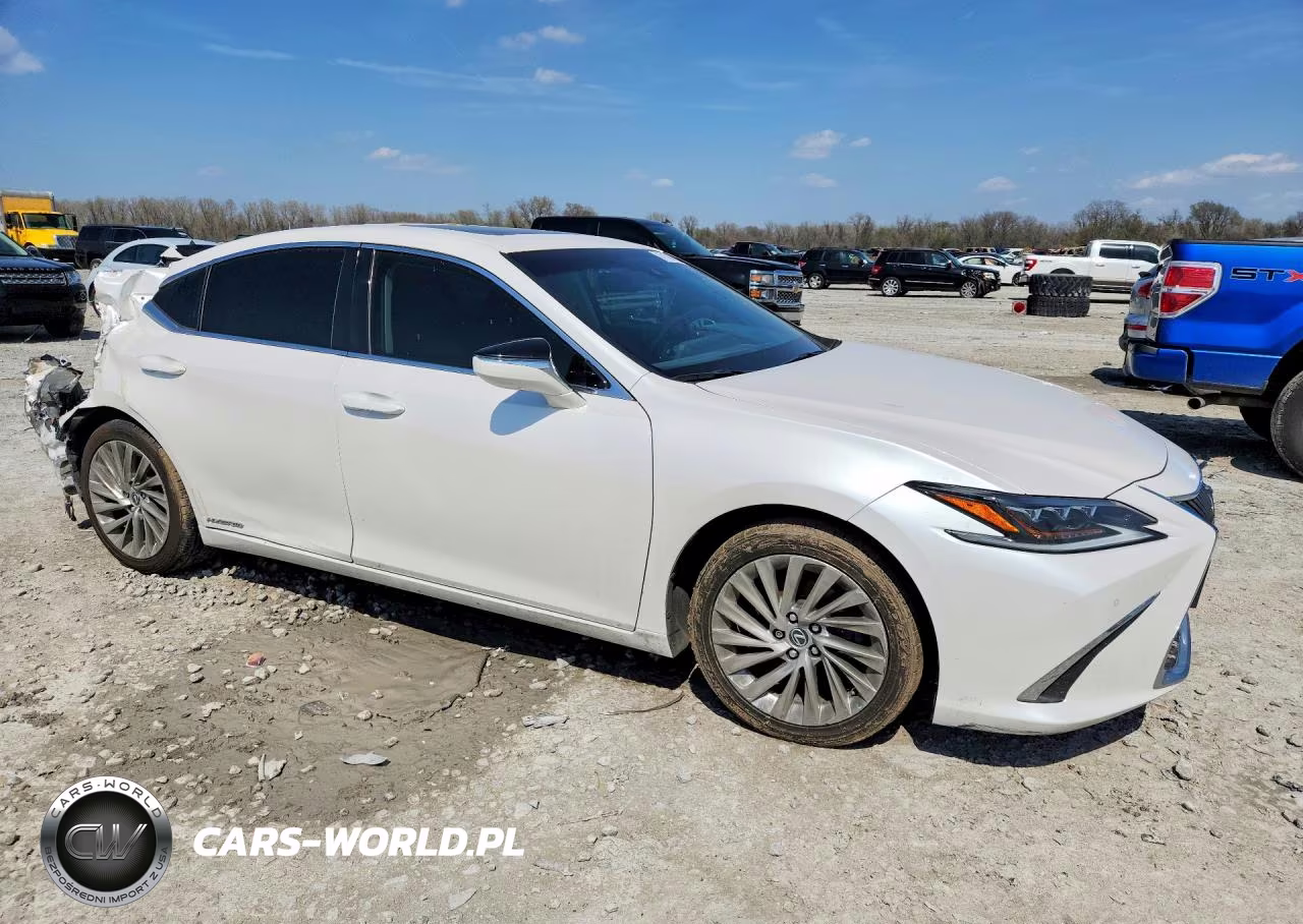 2021 Lexus Es 300H Ultra Luxury VIN:58AFA1C15MU007238 - 4