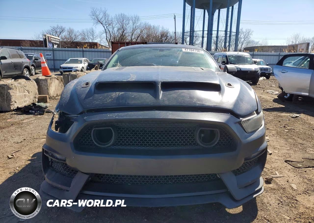 2015 Ford Mustang Gt VIN:1FA6P8CF0F5424106 - 5