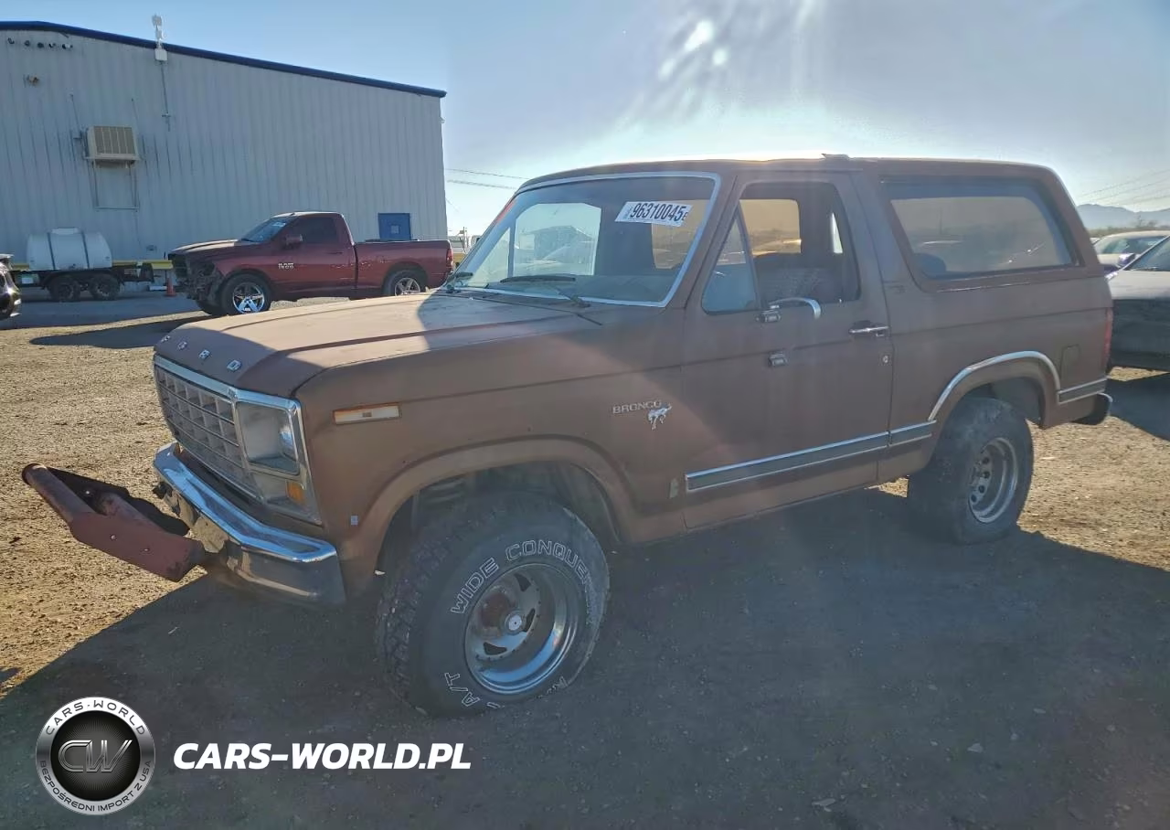 1981 Ford Bronco VIN:1FMDU15G8BLA63099 - 1