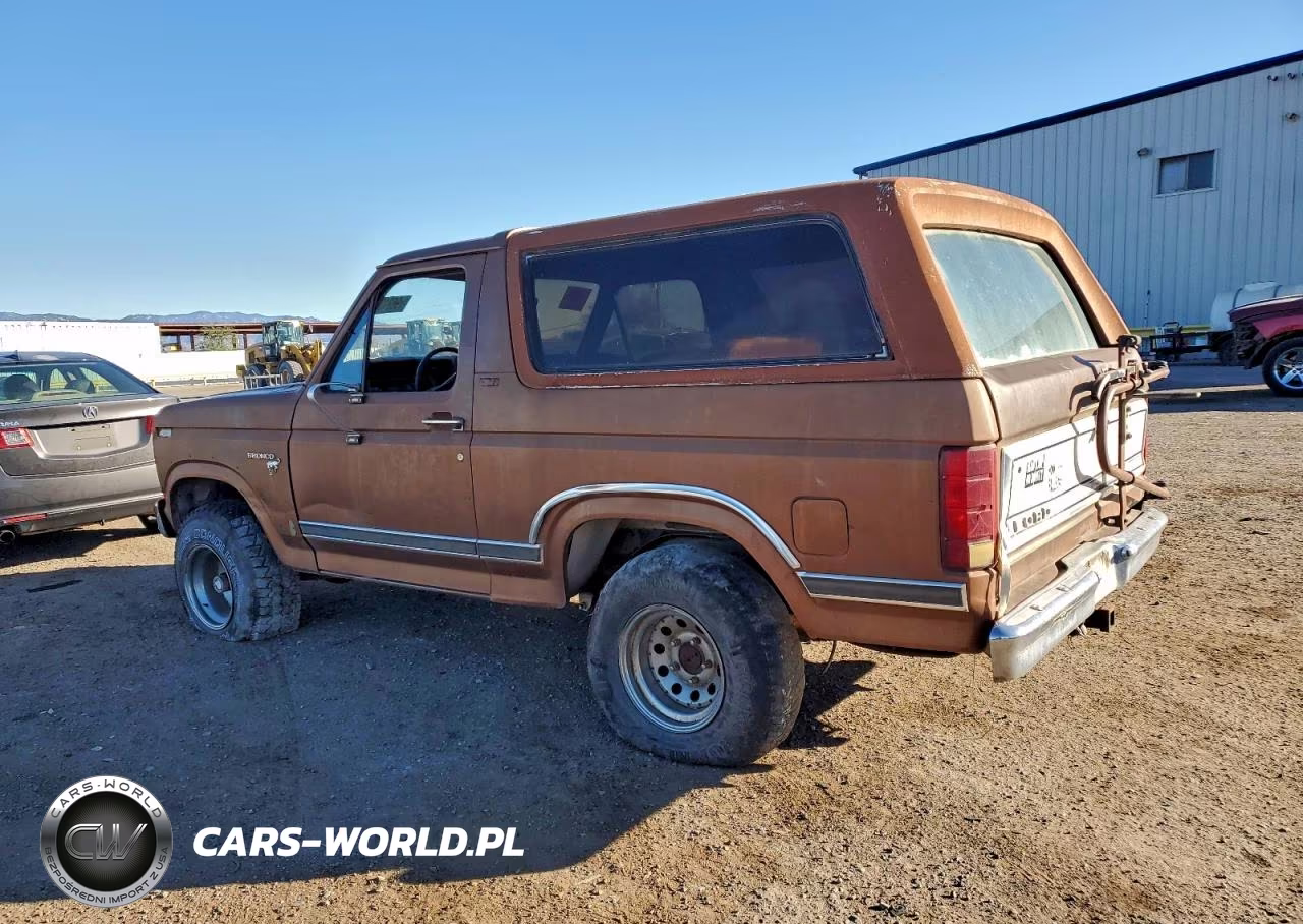 1981 Ford Bronco VIN:1FMDU15G8BLA63099 - 2