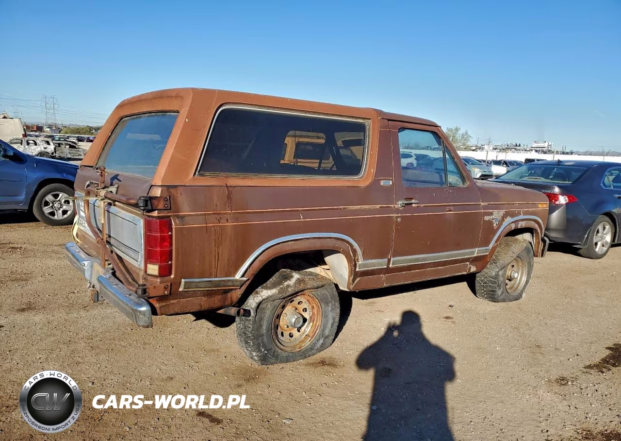 1981 Ford Bronco VIN:1FMDU15G8BLA63099 - 3
