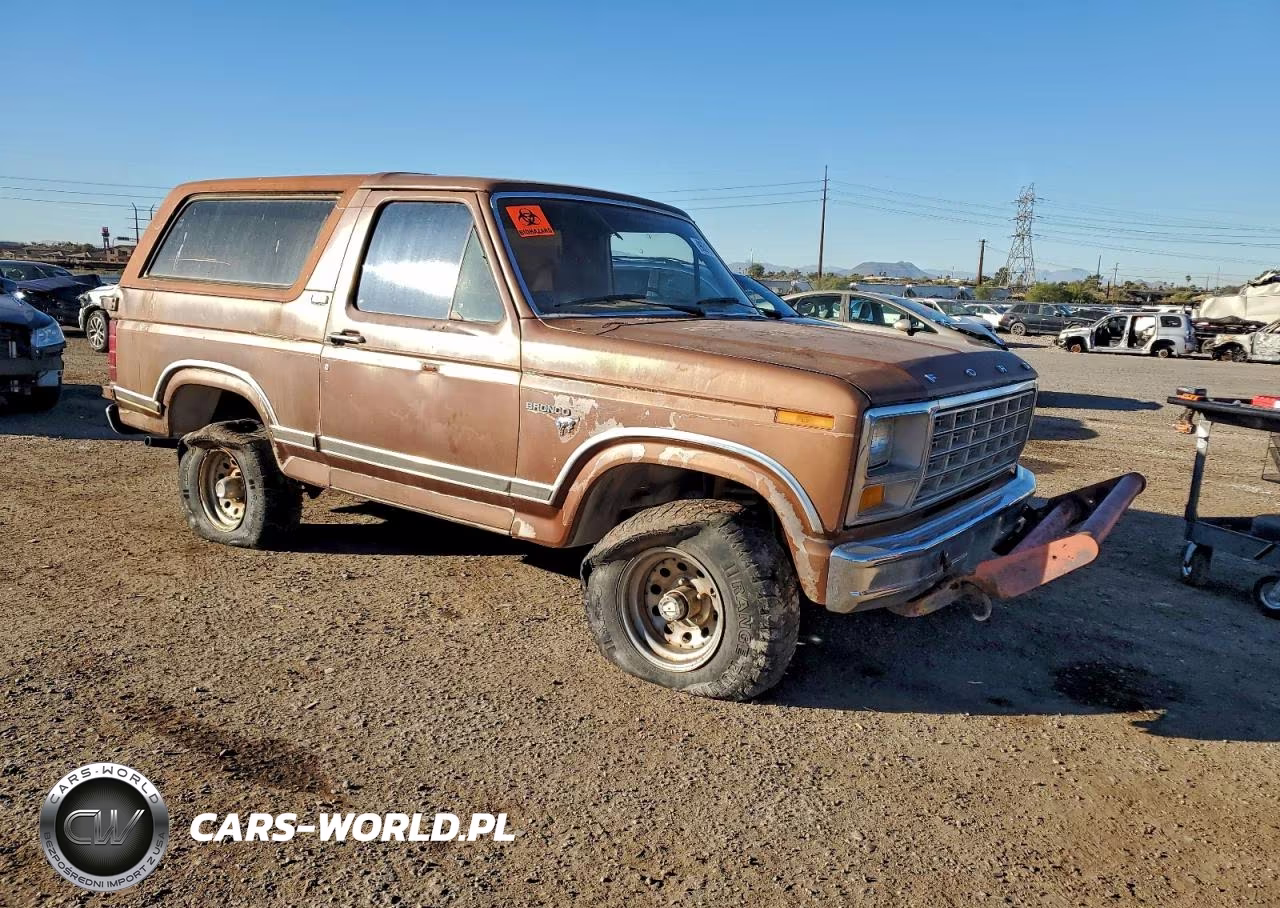 1981 Ford Bronco VIN:1FMDU15G8BLA63099 - 4