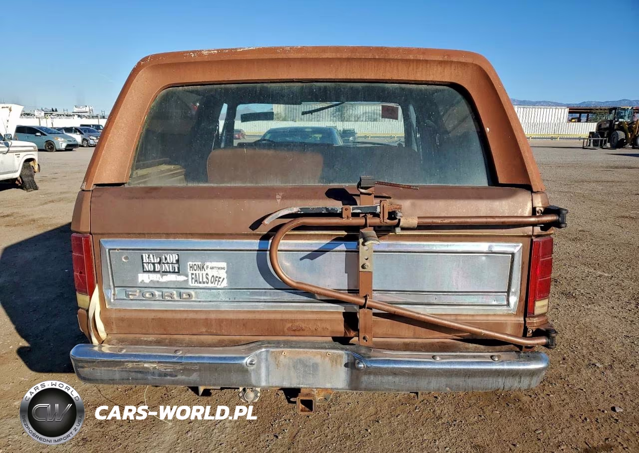 1981 Ford Bronco VIN:1FMDU15G8BLA63099 - 6