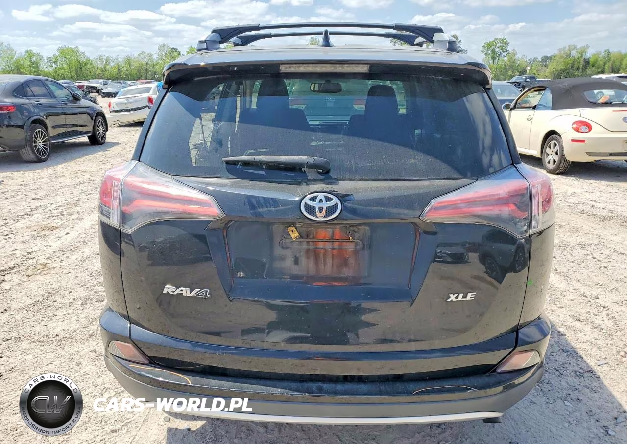 2016 Toyota Rav4 Xle VIN:2T3WFREV4GW236111 - 6